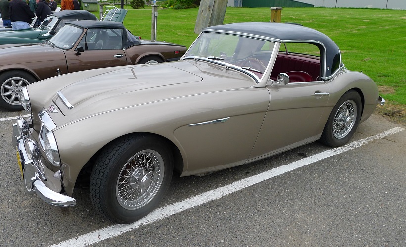 Healey